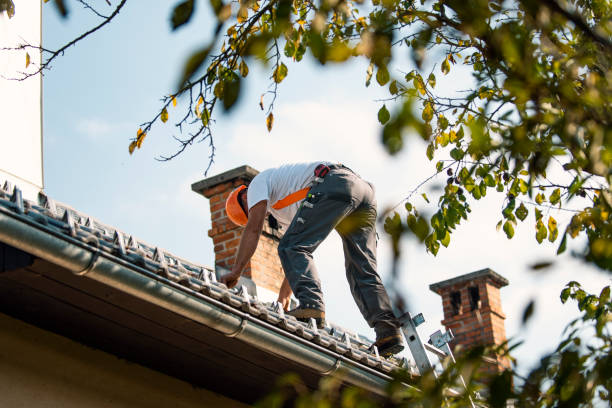 Best Gutter Installation and Roofing  in Oswego, IL