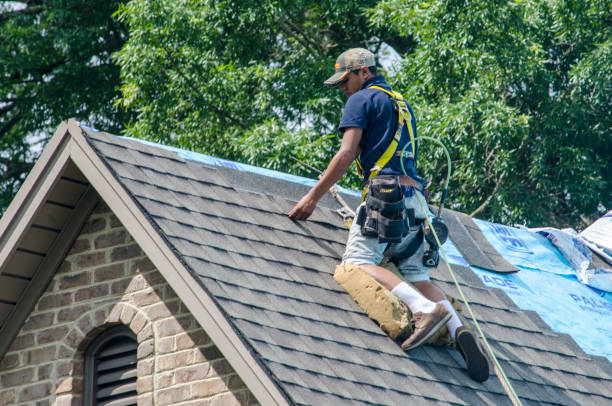 Best Roof Waterproofing Services  in Oswego, IL
